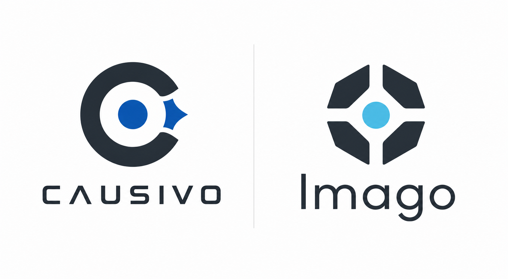 Causivo and Imago logo concepts